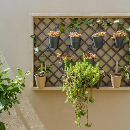 Viridiano & بيت ضيافة شاكا